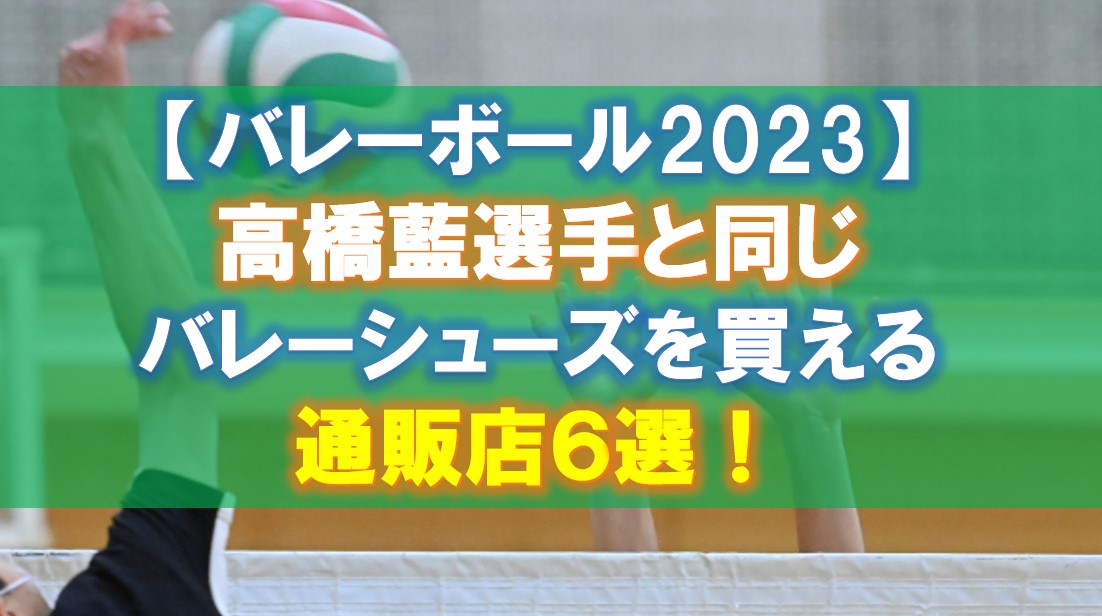 髙橋藍選手2023シーズン着用 スカイエリートFF2 MT 29.5cm